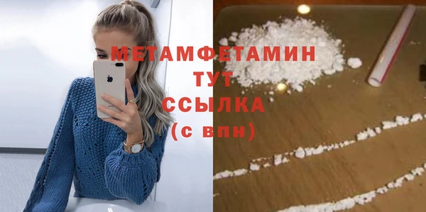 прущие грибы Медвежьегорск