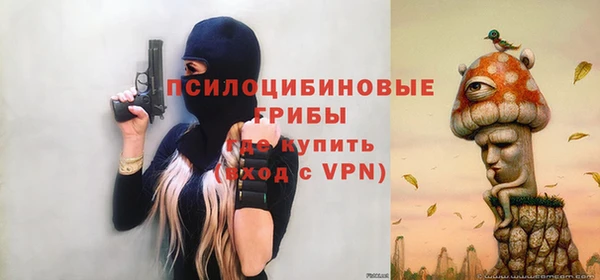 СК Медногорск