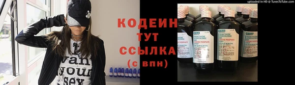 прущие грибы Медвежьегорск