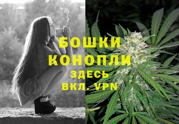 прущие грибы Медвежьегорск
