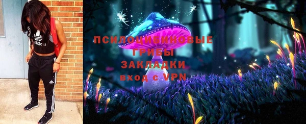 прущие грибы Медвежьегорск