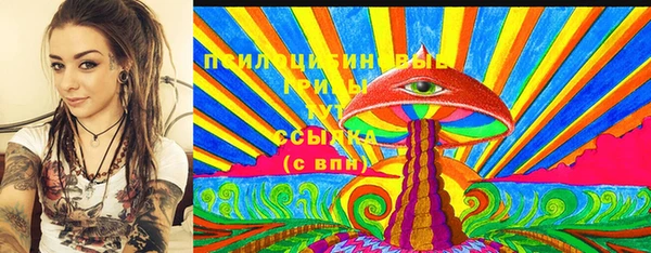 прущие грибы Медвежьегорск