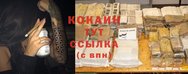 прущие грибы Медвежьегорск