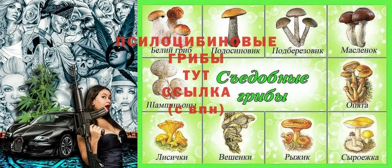 Псилоцибиновые грибы Psilocybine cubensis  купить  цена  МЕГА сайт  Ялта 