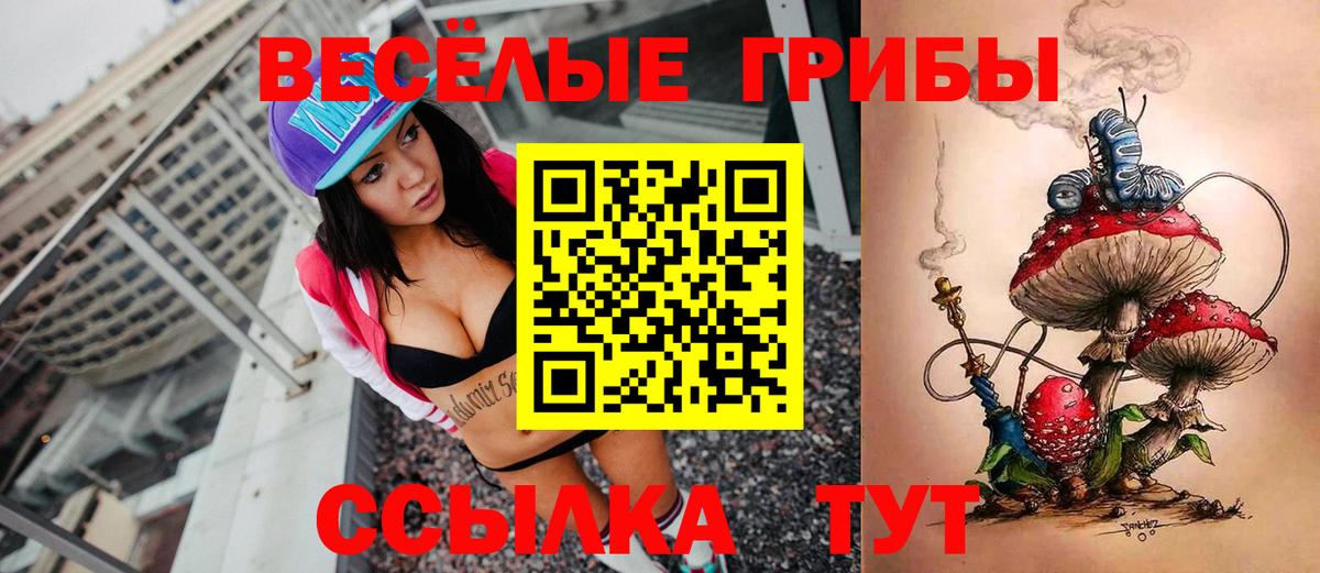 Галлюциногенные грибы Psilocybe  Ялта 